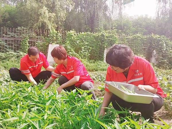 4B972FC23F41F0B3C1A62037257C2654_副本.jpg 4B972FC23F41F0B3C1A62037257C2654_副本.jpg